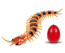 Load image into Gallery viewer, 35009RC-Creatures-Remote-Control-Infrared-Centipede1